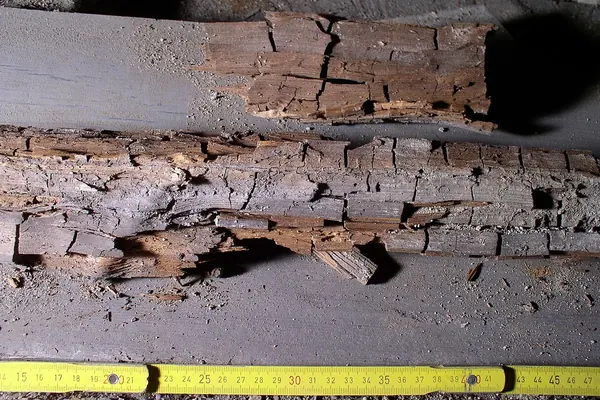 Poutre en bois atteinte de pourriture cubique, mètre posé pour l’échelle