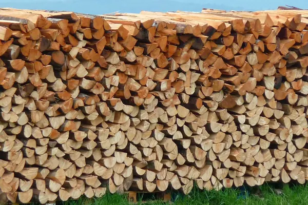 Bûches de bois de chauffage empilées