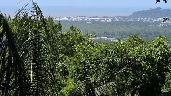 Vue de Matoury